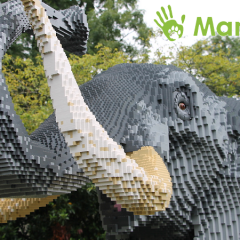 Head Off On A Great Brick Safari At Marwell Zoo