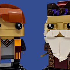 41621: Ron Weasley & Albus Dumbledore Set Review