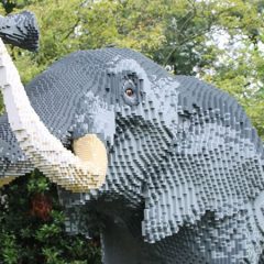 Great Brick Safari Arrives At RHS Garden Wisley