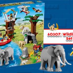 60307: Wildlife Rescue Camp Set Review
