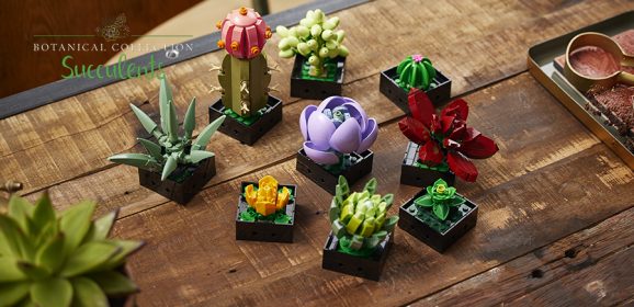 10309: LEGO Botanical Collection Succulents Set Review