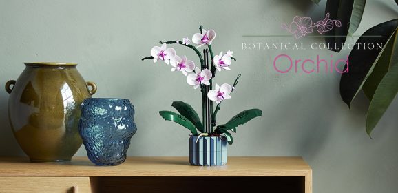 10311: Botanical Collection Orchid Set Review