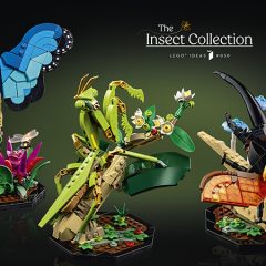 LEGO Ideas Insect Collection Insiders Early Access