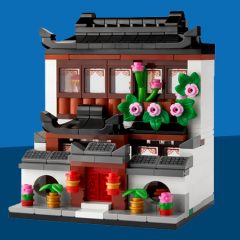 LEGO Houses Of The World 4 Official Images