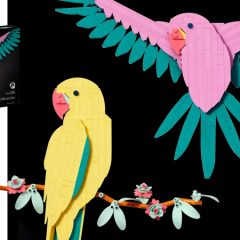 31211: The Fauna Collection – Macaw Parrots Review