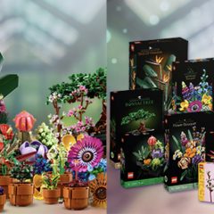 Win A LEGO Botanical Collection Bundle