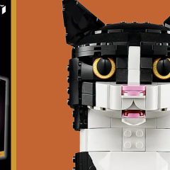 21349: Tuxedo Cat LEGO Ideas Set Review