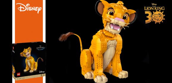 43247: Young Simba The Lion King Set Review