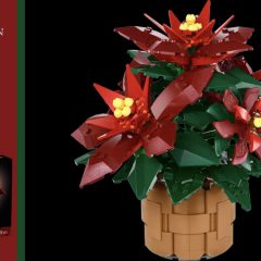 10370: Poinsettia Botanical Collection Set Review