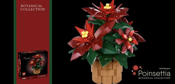 10370: Poinsettia Botanical Collection Set Review