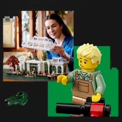 First Peek At Upcoming LEGO Ideas Set