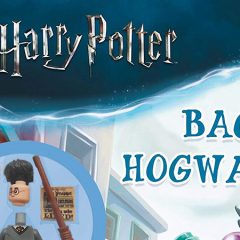 New LEGO Harry Potter Book Minifigure Revealed