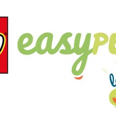 LEGO Link Up With EasyPeasy To Support Home Learning