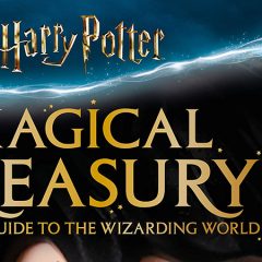 New LEGO Harry Potter Visual Dictionary Coming In 2020