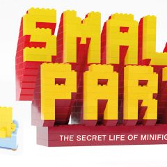 LEGO Small Parts The Secret Life Of Minifigures