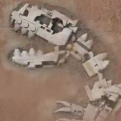 LEGO Ideas Dinosaur Fossils Teased