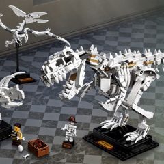 LEGO Ideas Dinosaur Fossils Now Available