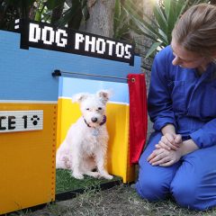 LEGO MINDSTORMS Creates Dog Selfie Booth