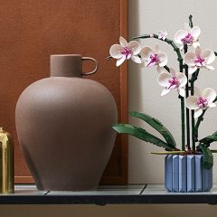 Pre-order LEGO Botanical Collection Orchid