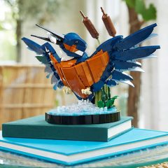 New LEGO Icons Kingfisher Bird Revealed