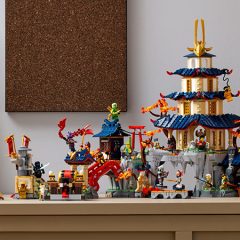 Unleash Ninja Power At Tournament Temple City