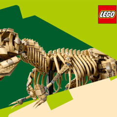 Double Insiders Points On The Dinosaur Fossils: T. rex Set