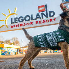 LEGOLAND Windsor To Welcome Festive Pooches