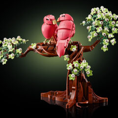 LEGO Ideas Love Birds Revealed