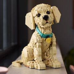 LEGO Icons Golden Retriever Puppy Now Available