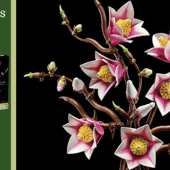 11510: Magnolia Branches Set Review