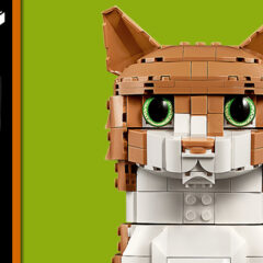 21376: Orange Cat Set Review