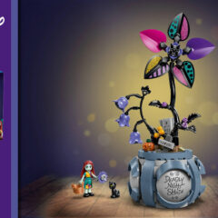 43288: Sally’s Flowerpot Set Review