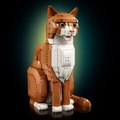 LEGO Ideas Orange Cat Revealed