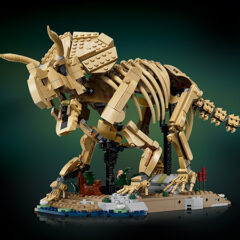 Jurassic World Dinosaur Fossils: Triceratops Revealed