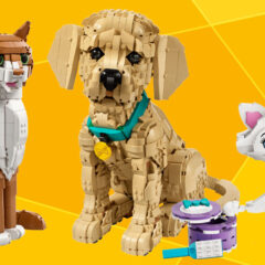 LEGO Celebrate & Build: Buildable Pets
