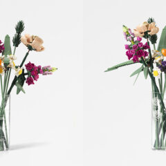 LEGO Botanicals Vases Range Revealed