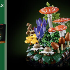 11505: Woodland Mushrooms Set Review