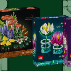 New LEGO Botanicals Summer Blooms Revealed