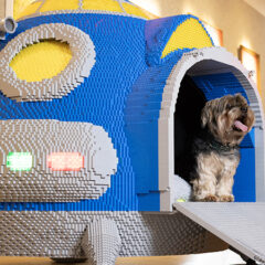 Goodwoof LEGO Kennel Design Unveiled