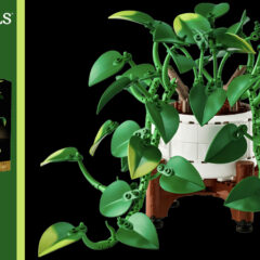 11512: Hanging Golden Pothos Set Review