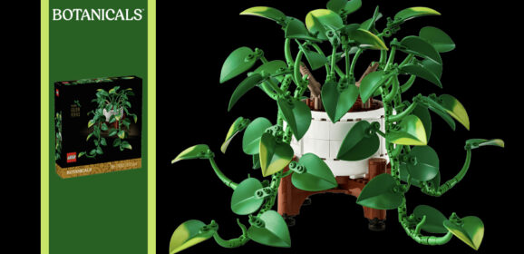 11512: Hanging Golden Pothos Set Review