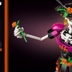 21372: La Catrina Set Review