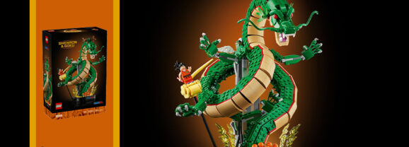 11390: Dragon Ball: Shenron & Goku Hands-on