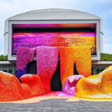 LEGO Botanicals Wave Floods Shanghai